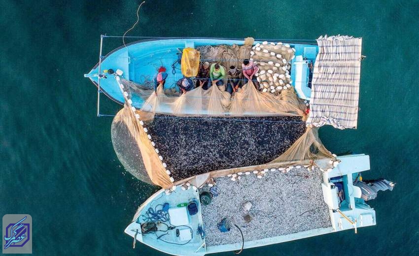 پیامد‌های صید محاصره‌ای بر معیشت و ذخایر ماهیان جزیره‌های جنوب کشور