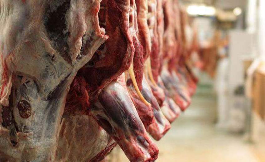 اختلاف ۵۰ درصدی قیمت گوشت از تولید تا مصرف