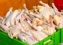 ممنوعیت صادرات مرغ تا اطلاع ثانوی