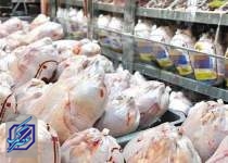 آرامش در بازارمرغ و تخم‌مرغ/ قیمت مرغ10 هزار تومان کاهش یافت