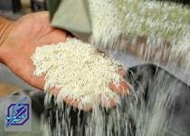واردات ۴۰۰ هزار تن برنج خارجی در سال جاری