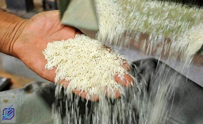 سلامت و کیفیت برنج‌های وارداتی به کشور تایید شد