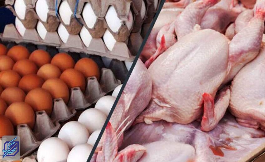صادرات مرغ و تخم مرغ به عراق آزاد شد