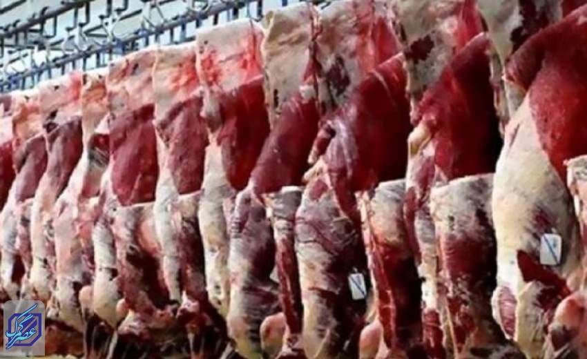 جامعه عشایری ۴ برابر نیاز وارداتی کشور به گوشت قرمز را تولید می‌کند