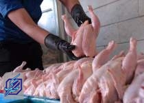 فروش مرغ گوشتی بالاتر از نرخ مصوب/ کاهش ۲۰ درصدی مصرف مرغ
