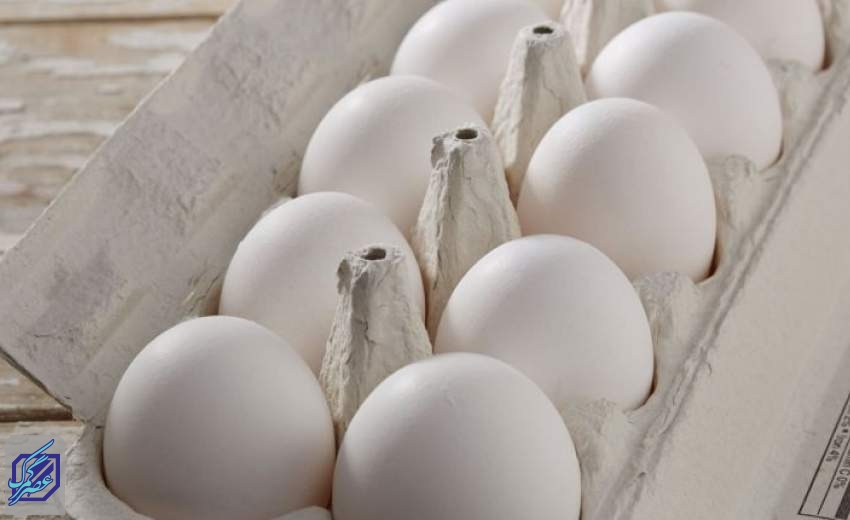 صادرات تخم مرغ صفر شده است
