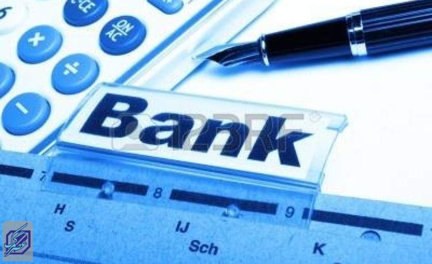 دولت بزرگترین بدهکار بانکی است/تسویه طلب بانک‌ها روی کاغذ است