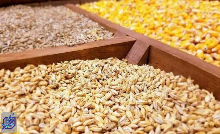 ثبت سفارش سیستمی واردات نهاده دامی و روغن آغاز شد