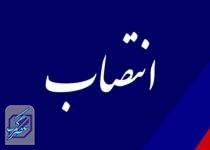 سرپرست شرکت مدیریت شبکه برق ایران منصوب شد