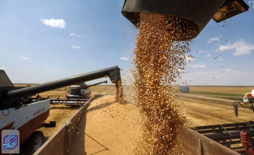 کاهش واردات گندم در ده ماهه نخست ۱۴۰۲